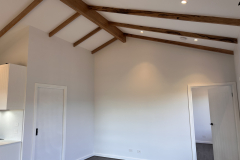 exposed beams