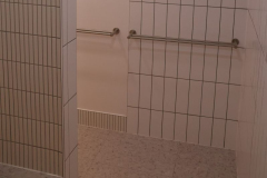 shower rail